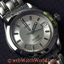 Omega Seamaster 2501.3100 Wristwatch 